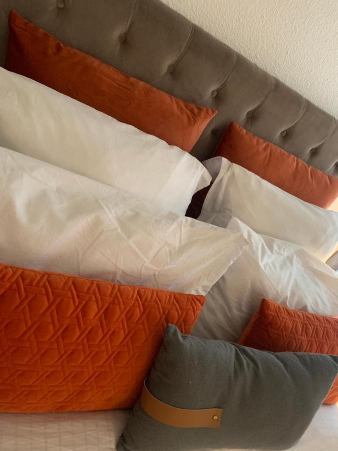 Appartement Cosy Le Safari Avec Wifi Annonay Exterior foto